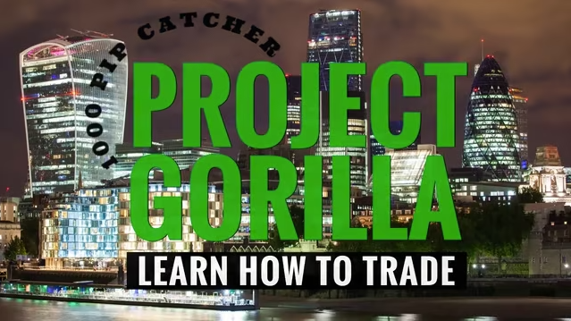 Project Gorilla Course