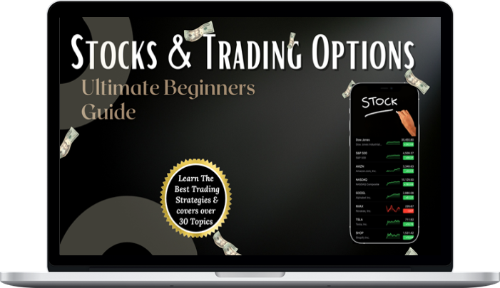 Black Stock Est. – Ultimate Beginners Guide To Stocks & Trading Options